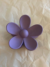 Load image into Gallery viewer, Daisy Clips
