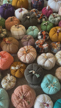 Load and play video in Gallery viewer, Cream Chenile Sweater Pumpkins
